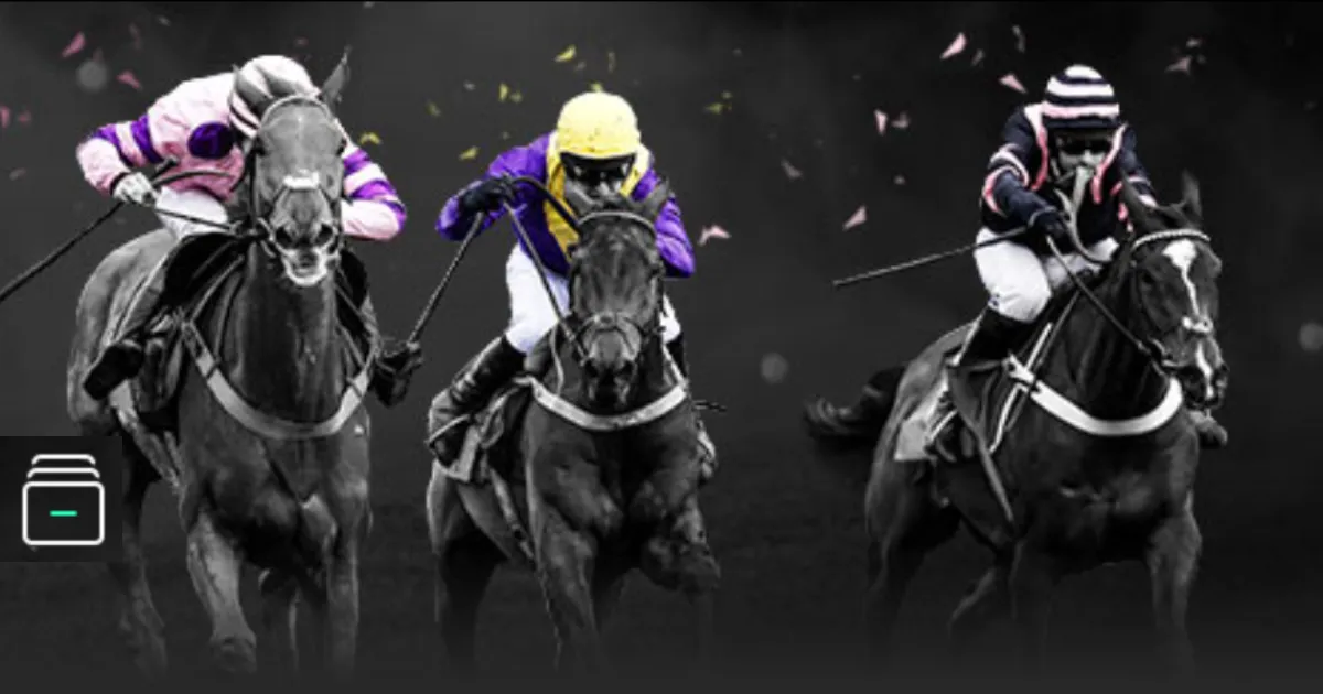 黑龙江,冰雪精英摇,探寻冠军诞,KaiBao,Sports,开宝体育,体育直播,体育赛事,APP下载,官方网地址