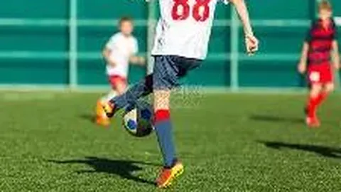 开宝体育 产品 090137 94s