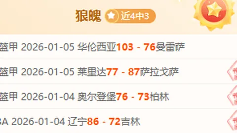 德甲焦点对决：弗赖堡与汉堡巅峰对决，揭秘赛场上的无形较量！